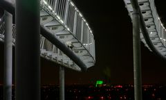 Tiger & Turtle & Grün