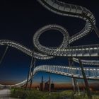 Tiger & Turtle I