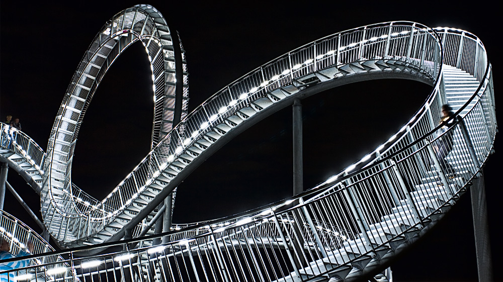 Tiger & Turtle I