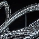 Tiger & Turtle I