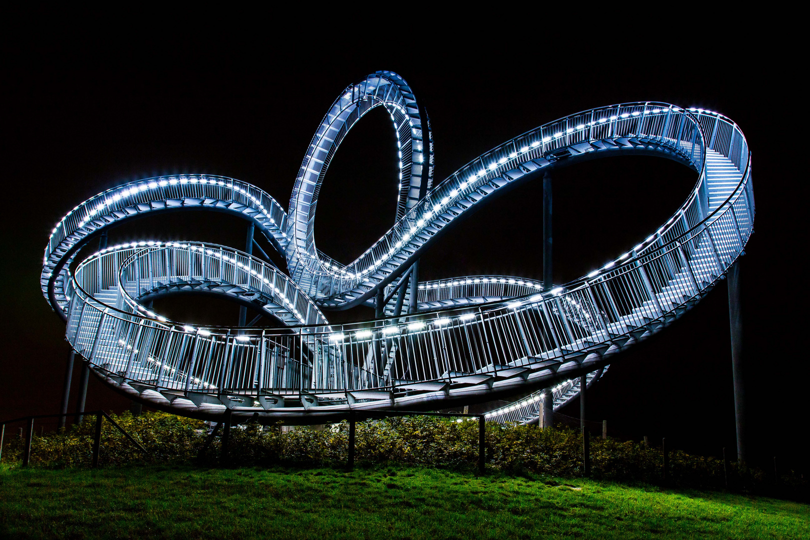 Tiger & Turtle I