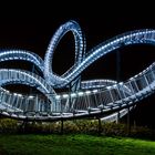 Tiger & Turtle I