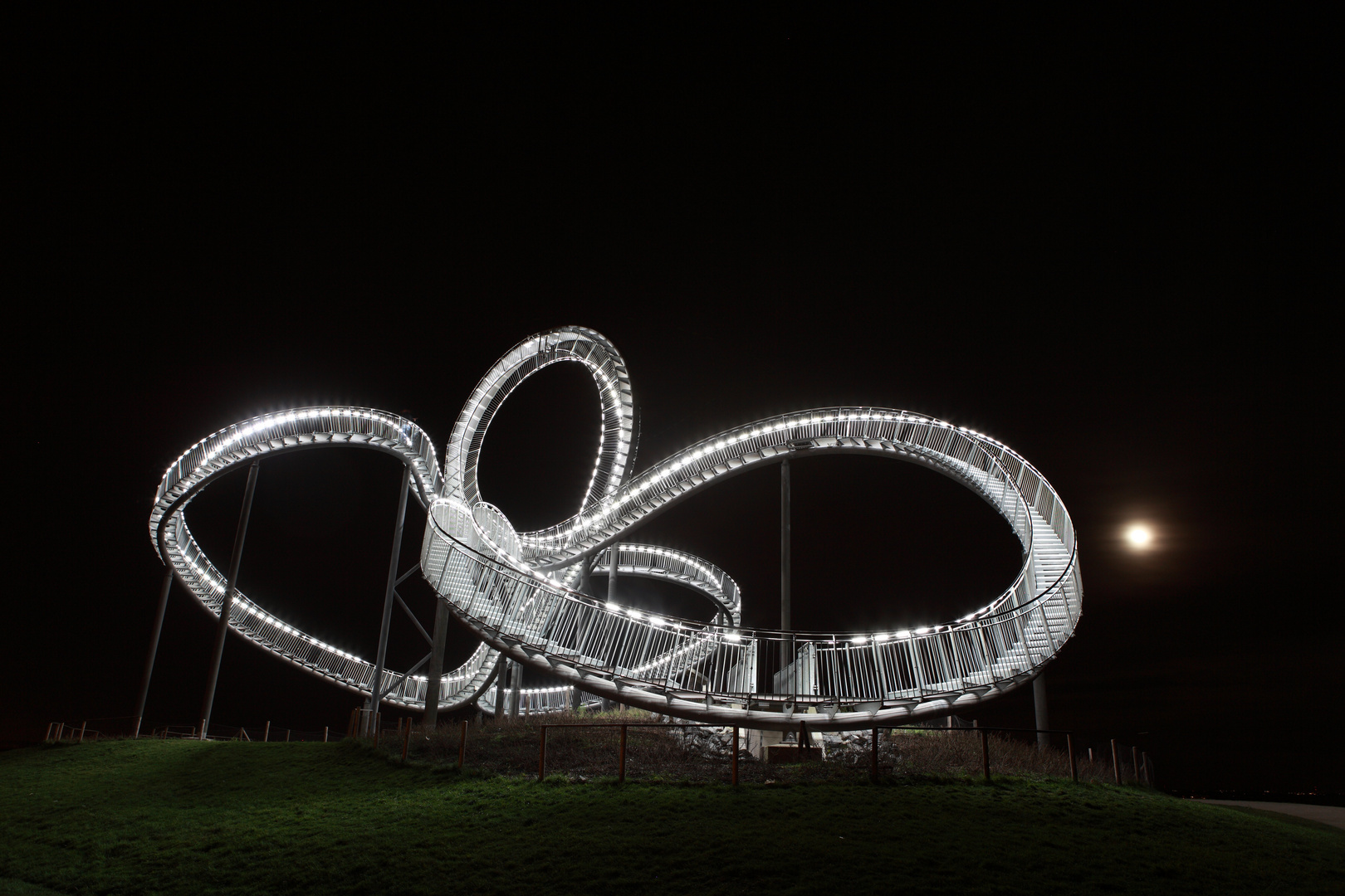 Tiger & Turtle (I)