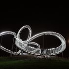 Tiger & Turtle (I)