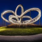 Tiger & Turtle II 