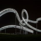 Tiger & Turtle II