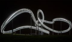 Tiger & Turtle II