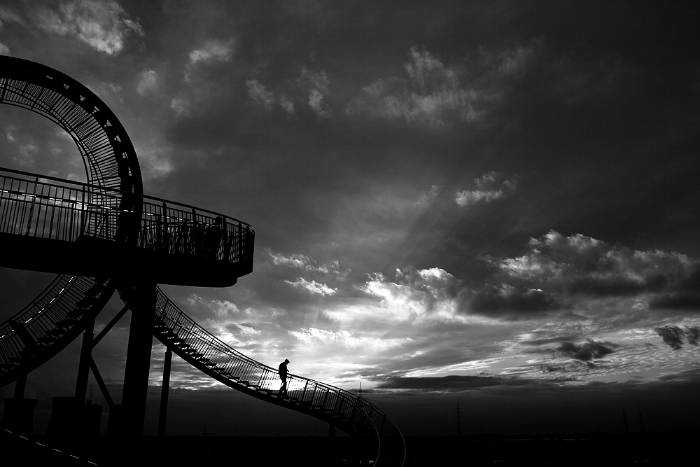 Tiger & Turtle II