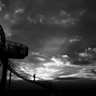 Tiger & Turtle II