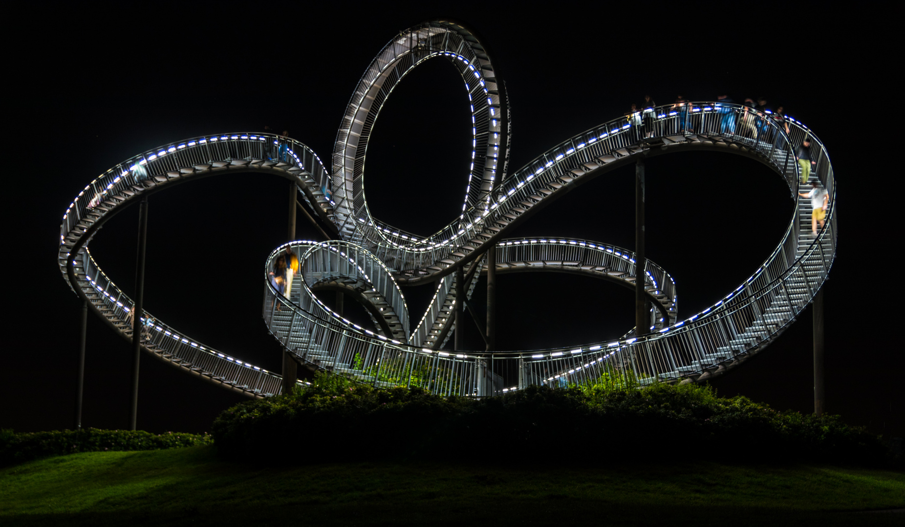 Tiger & Turtle II