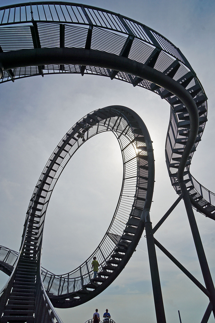 Tiger & Turtle II