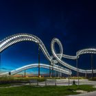 Tiger & Turtle II