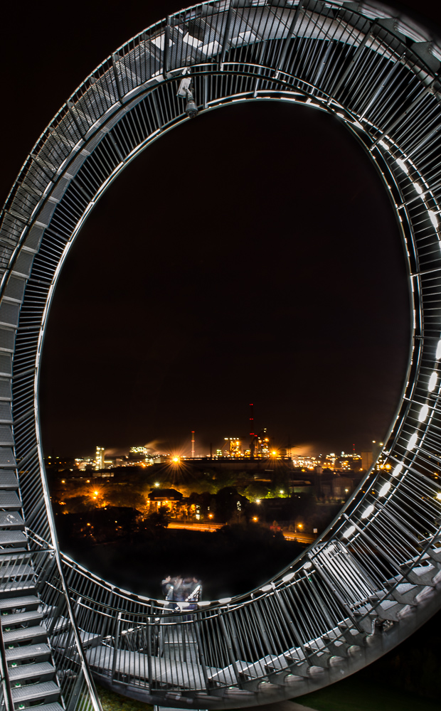 Tiger & Turtle II