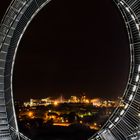 Tiger & Turtle II