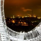 Tiger & Turtle II