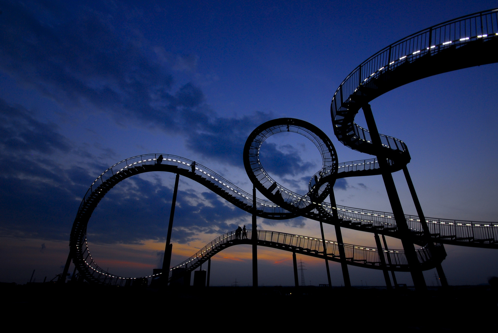 TIGER & TURTLE II