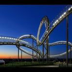 Tiger & Turtle II