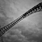 Tiger &Turtle II