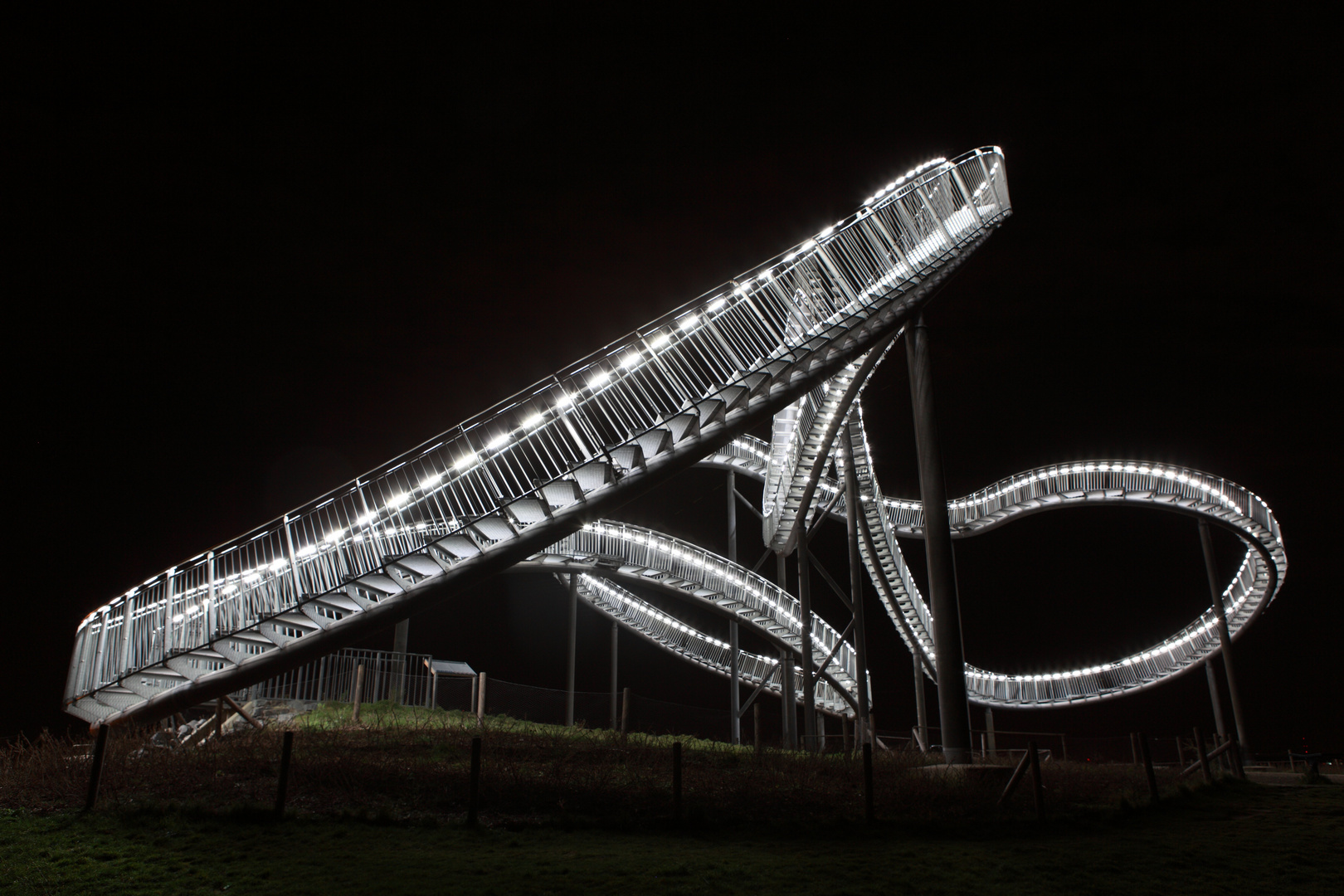 Tiger & Turtle (III)