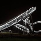 Tiger & Turtle (III)