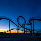 Tiger & Turtle III