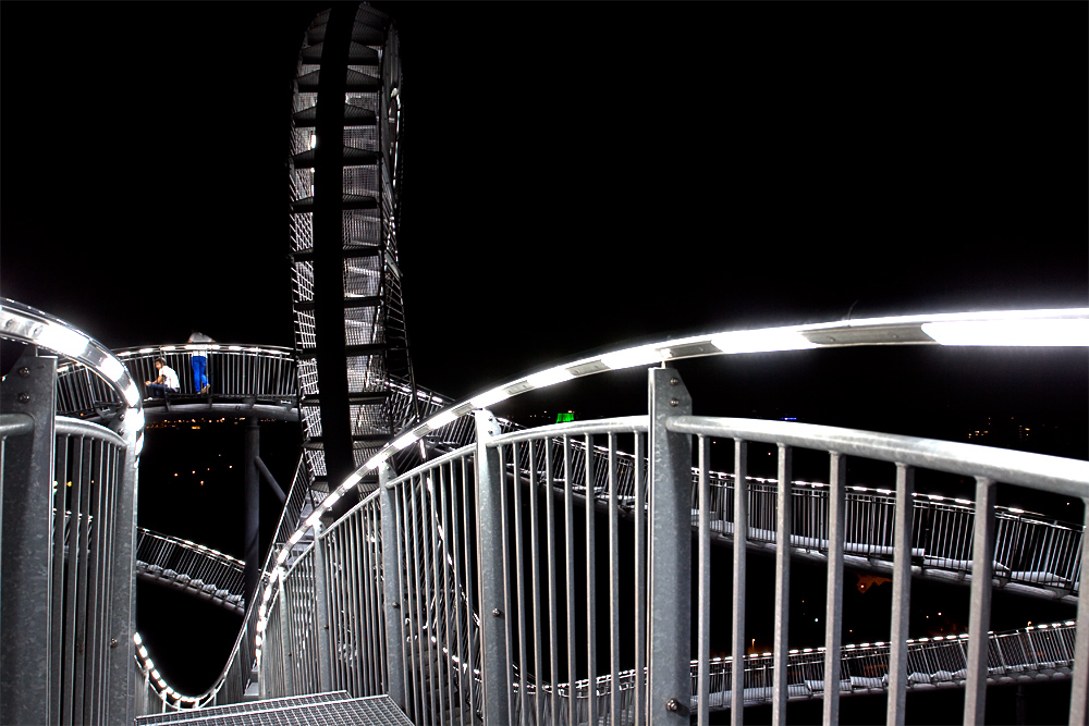 Tiger & Turtle III