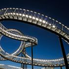 Tiger & Turtle III