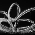 Tiger & Turtle in S & W