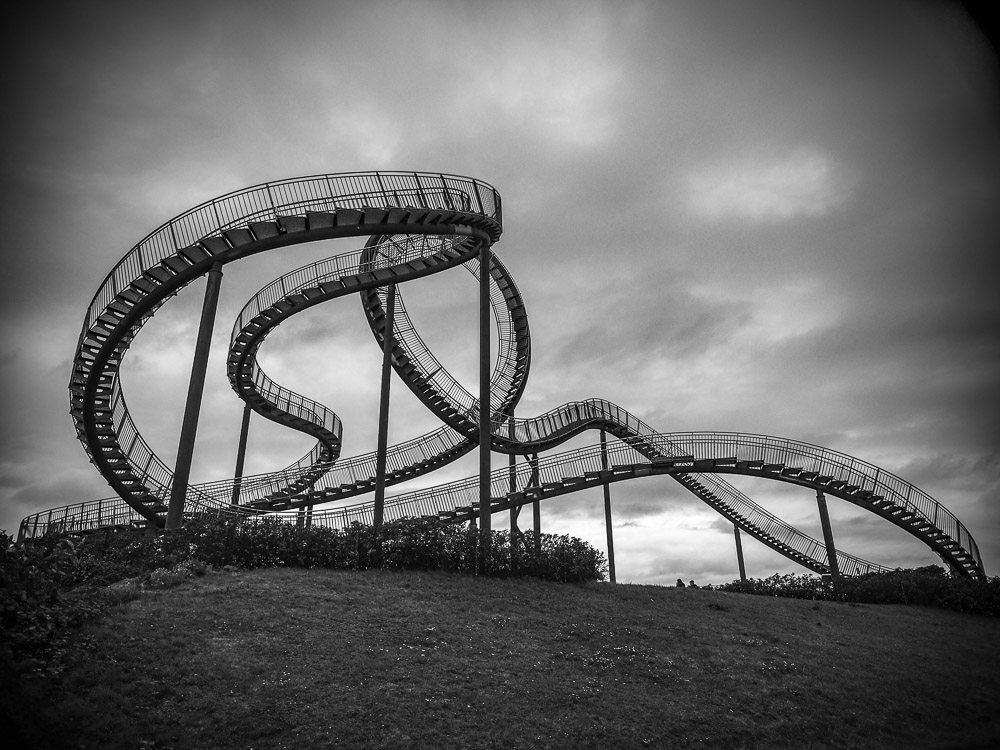 Tiger & Turtle in s/w