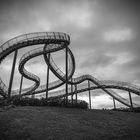 Tiger & Turtle in s/w