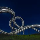 Tiger & Turtle IV