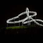 Tiger & Turtle IV