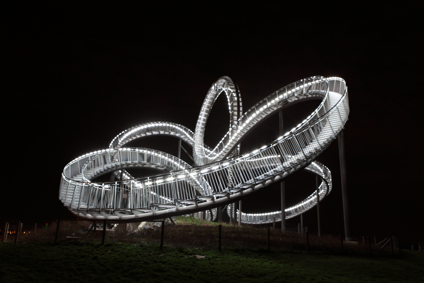 Tiger & Turtle (IV)