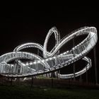 Tiger & Turtle (IV)