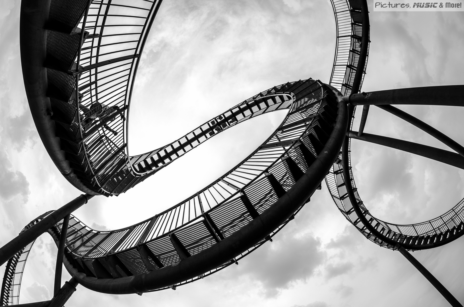 Tiger & Turtle Junge