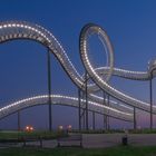 Tiger & Turtle Landmarke 2