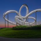 Tiger & Turtle Landmarke, aufgenommen am 12.05.2016