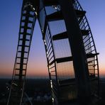 Tiger Turtle Looping