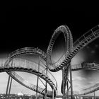 Tiger & Turtle Looping