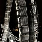 Tiger & Turtle Looping