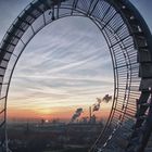 Tiger & Turtle Looping