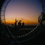 Tiger Turtle Looping golden hour