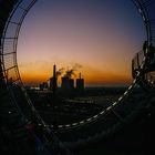 Tiger Turtle Looping golden hour