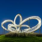 Tiger & Turtle - Magic Mountain