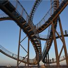 Tiger & Turtle Magic Mountain (1)