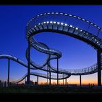 Tiger & Turtle (Magic Mountain)