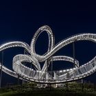 Tiger & Turtle - Magic Mountain