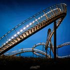 Tiger & Turtle - Magic Mountain