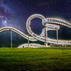 Tiger & Turtle - Magic Mountain