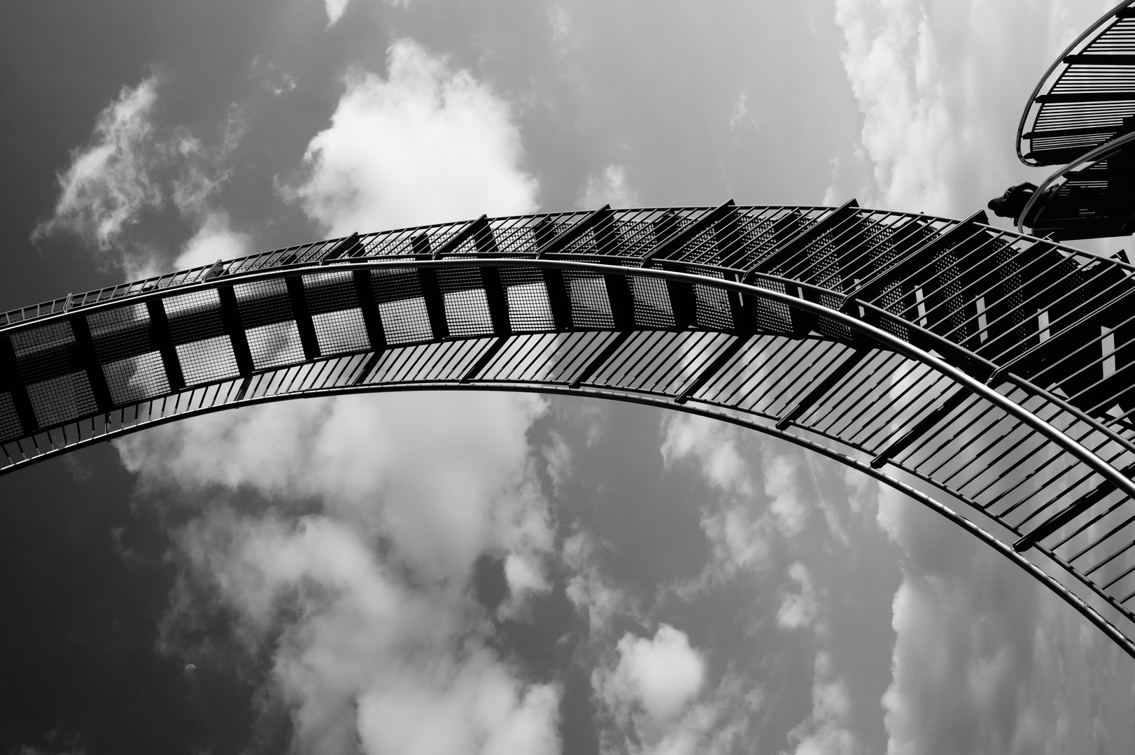 Tiger & Turtle Magic Mountain